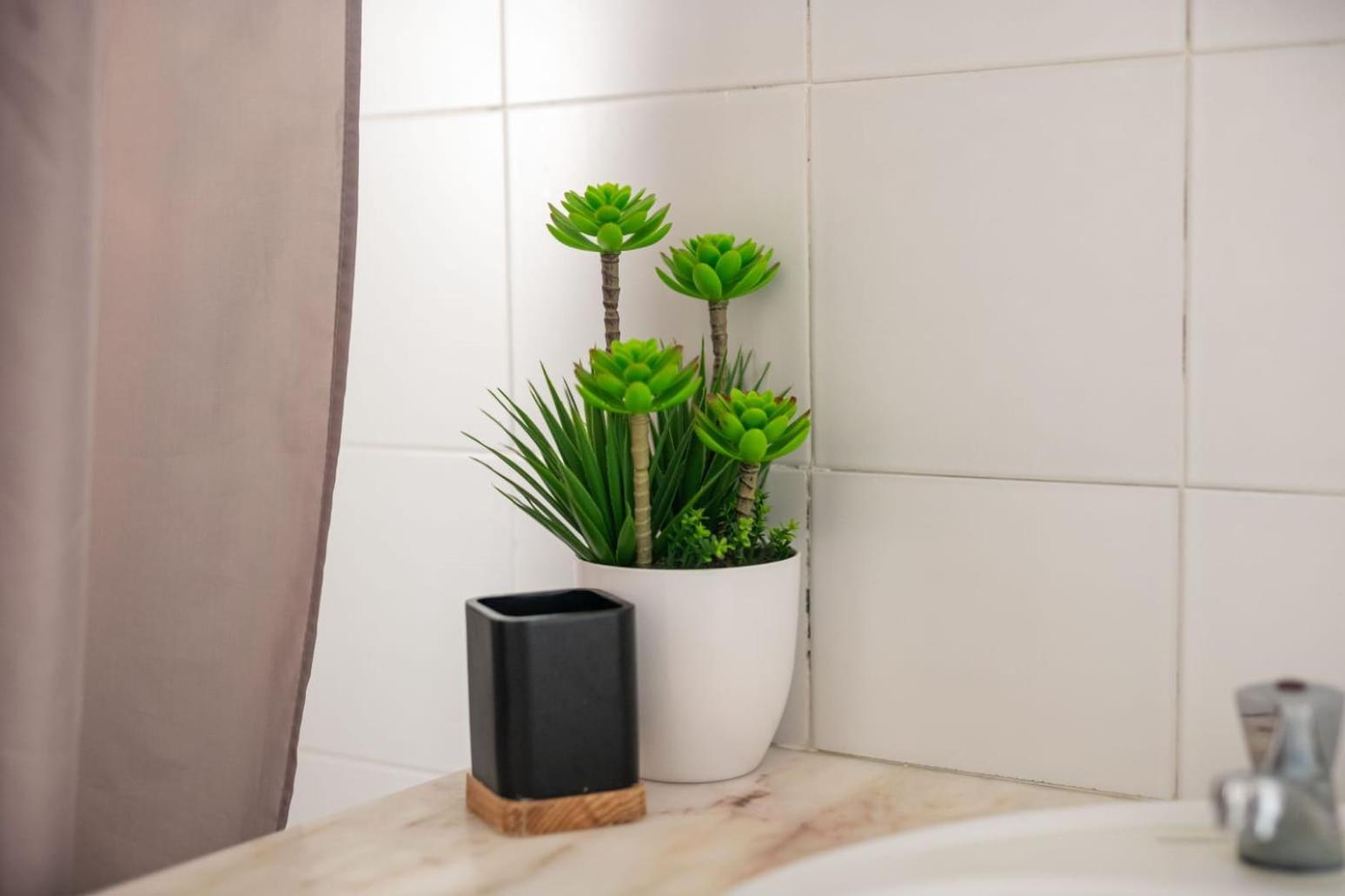 Family Friendly Azorean Apartment ポンタ・デルガダ エクステリア 写真